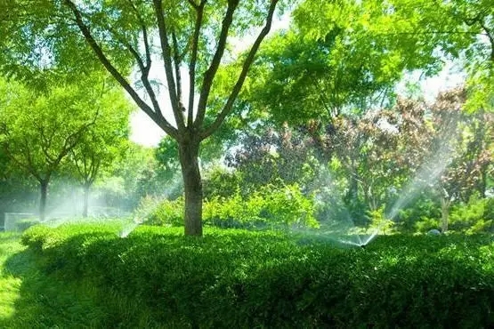 640.webp (5).jpg 640.webp (5).jpg